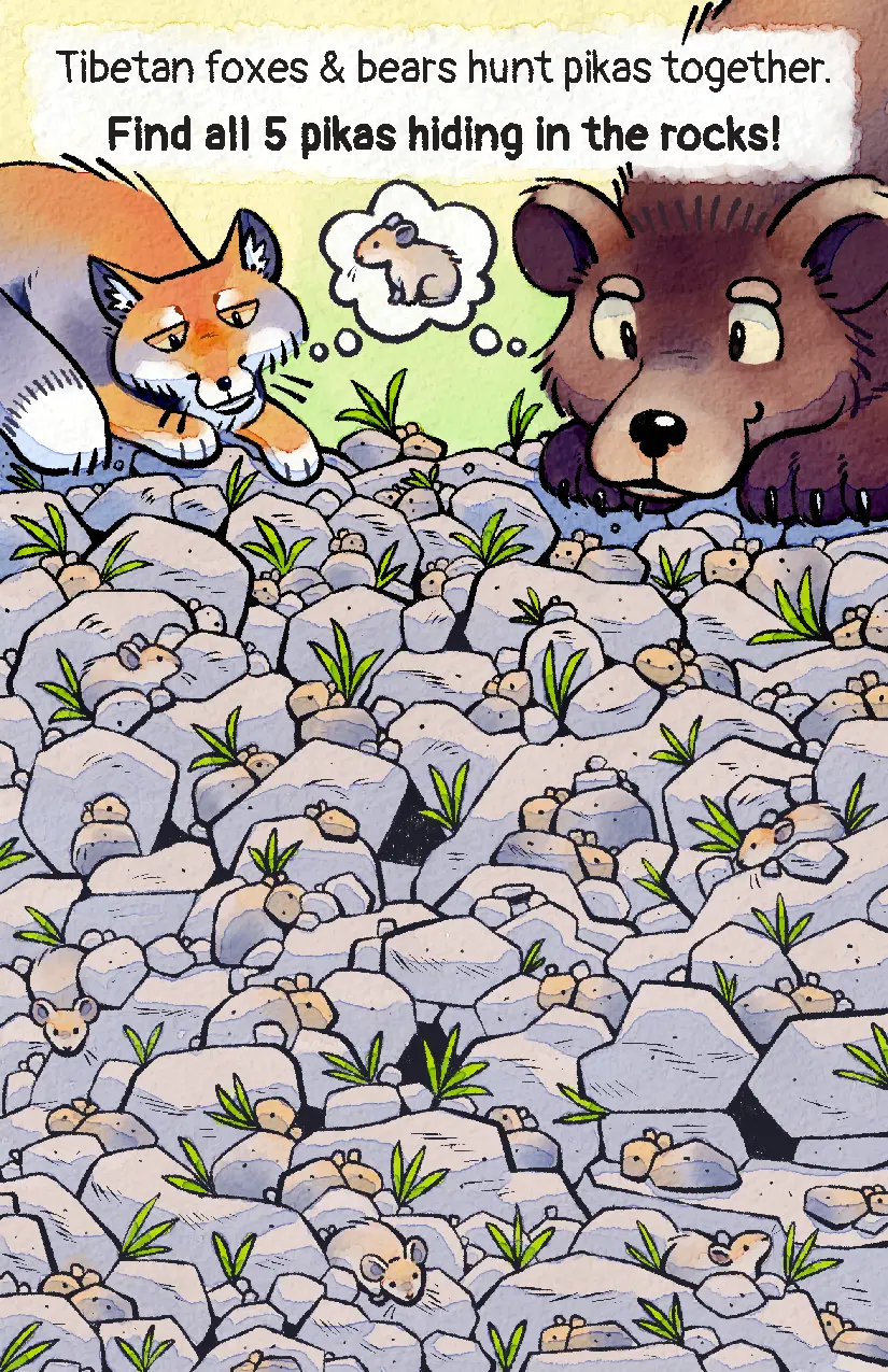 The zine's sixth page, with a Tibetan fox and a Himalayan brown bear looking for pikas in the rocks. The prompt tells you to find all the pikas blended in with the rocks.