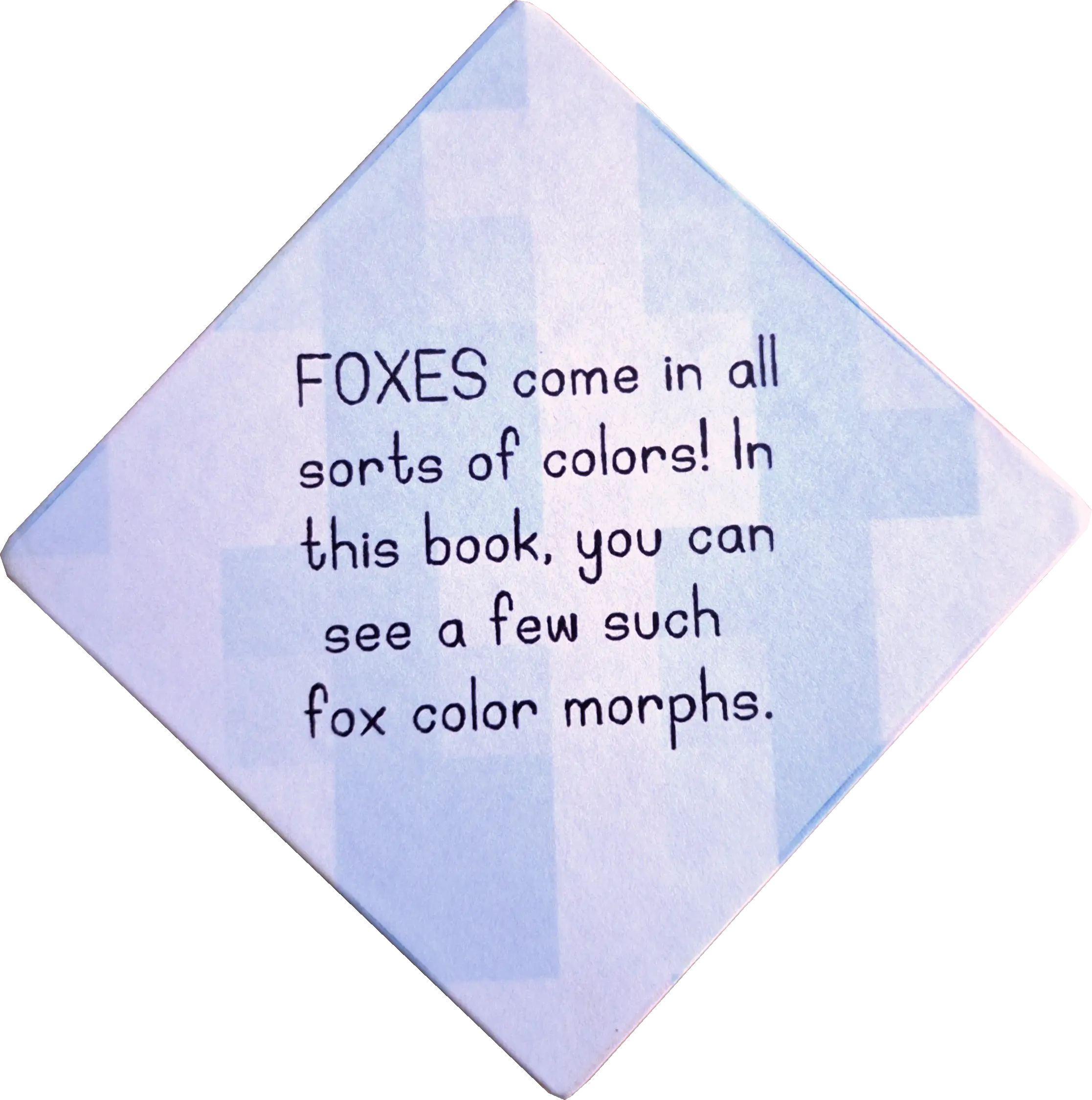 The back cover of Color-Fur, featuring the square tiled background from the front cover. Text reads: Foxes come in all sorts of colors! In this book, you can see a few such color morphs.