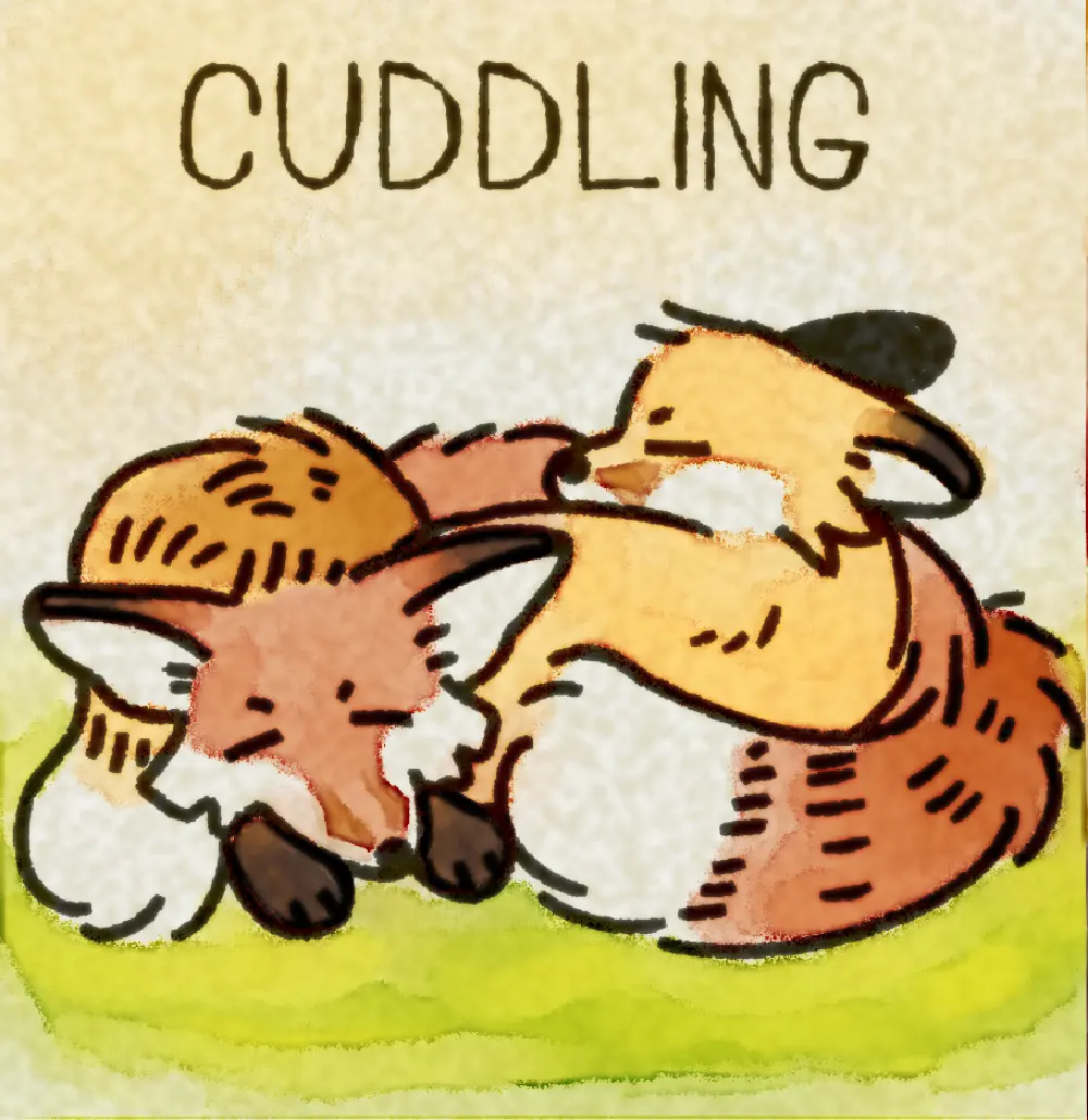Page 3: two foxes curled up together. The word for C is Cuddling.