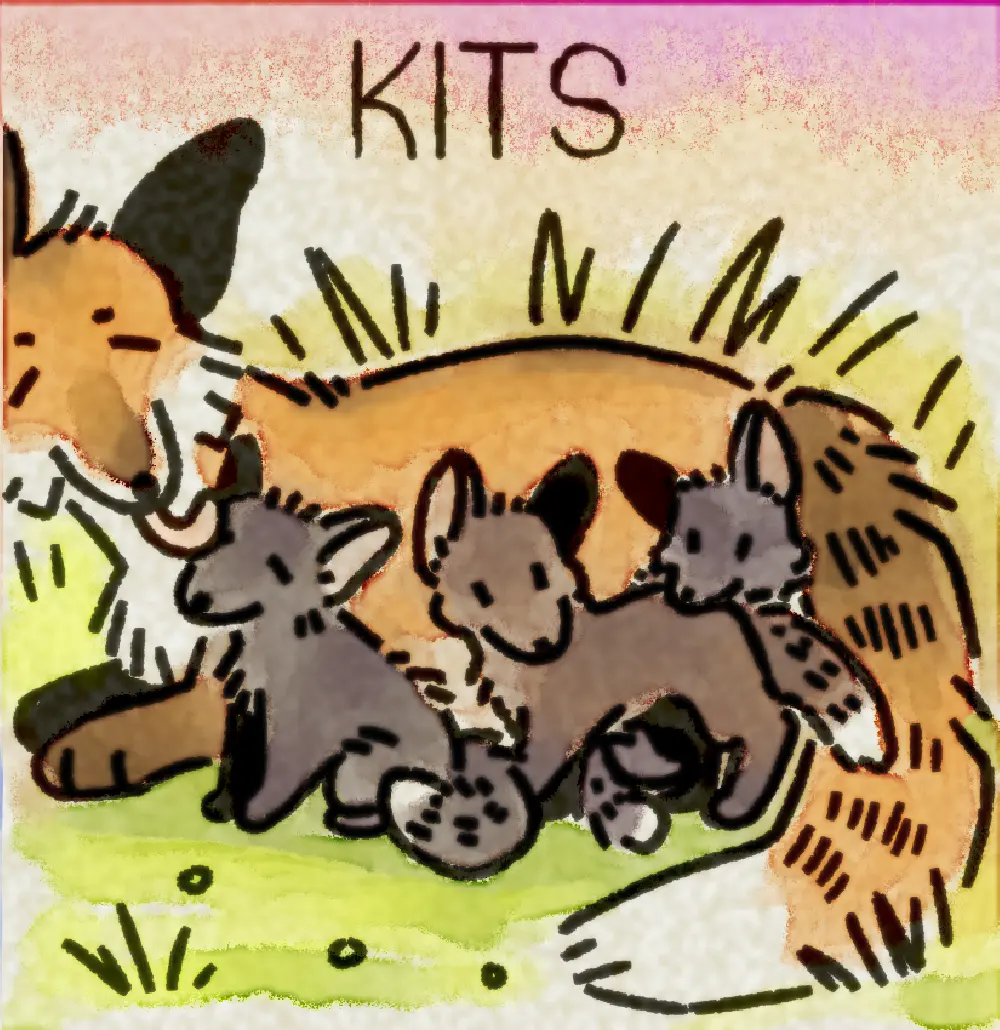 Page 11: a mother fox fussing over her kits. The word for K is Kits.