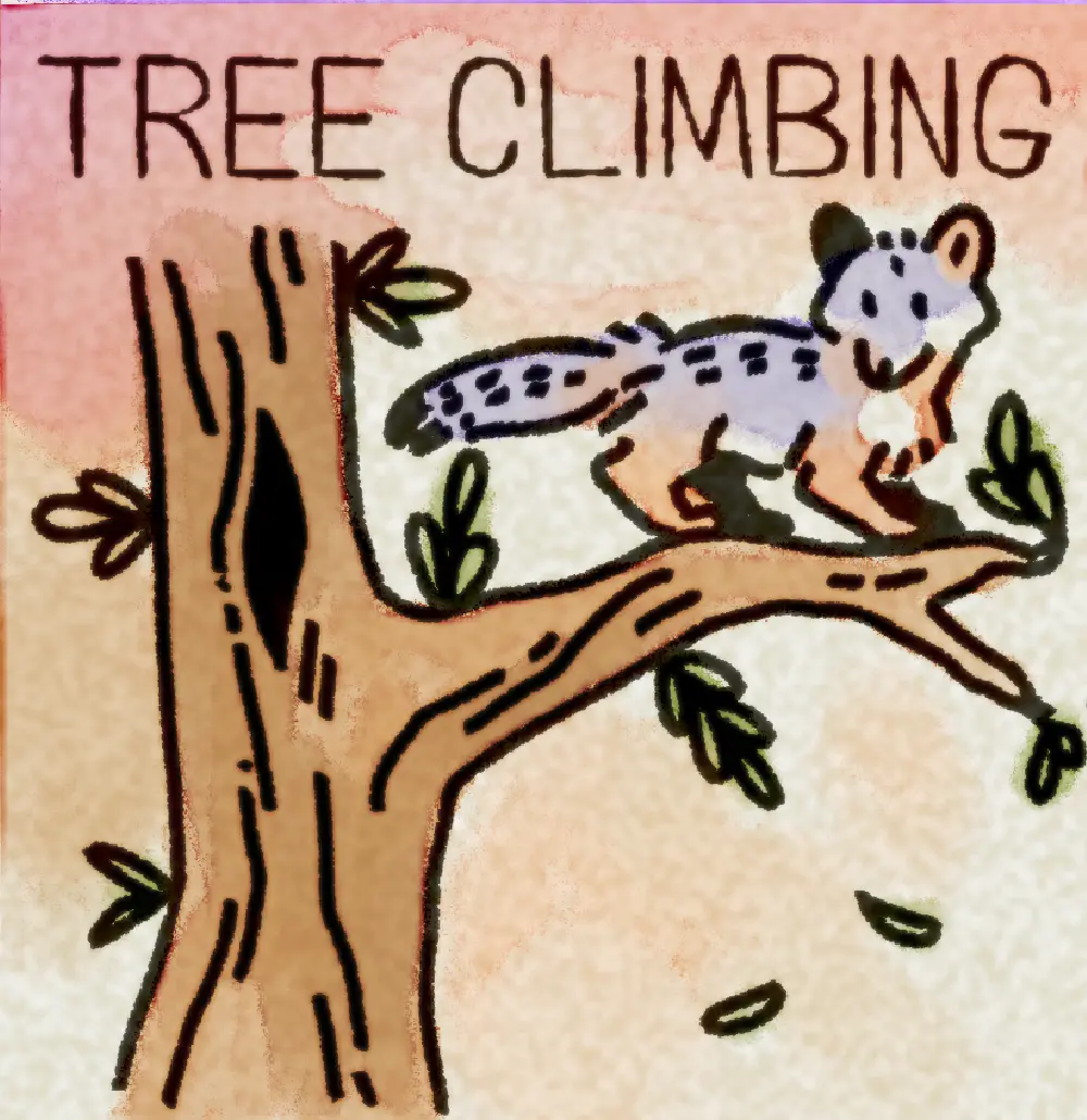 Page 20: a gray fox standing on a tree branch. The word for T is Tree Climbing.