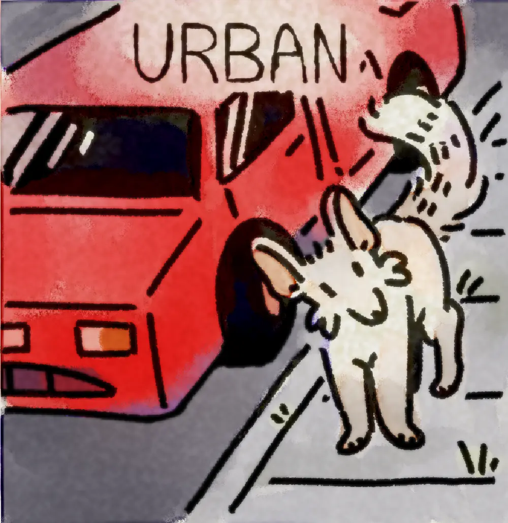 Page 21: a white fox next to a red car in the city. The word for U is Urban.