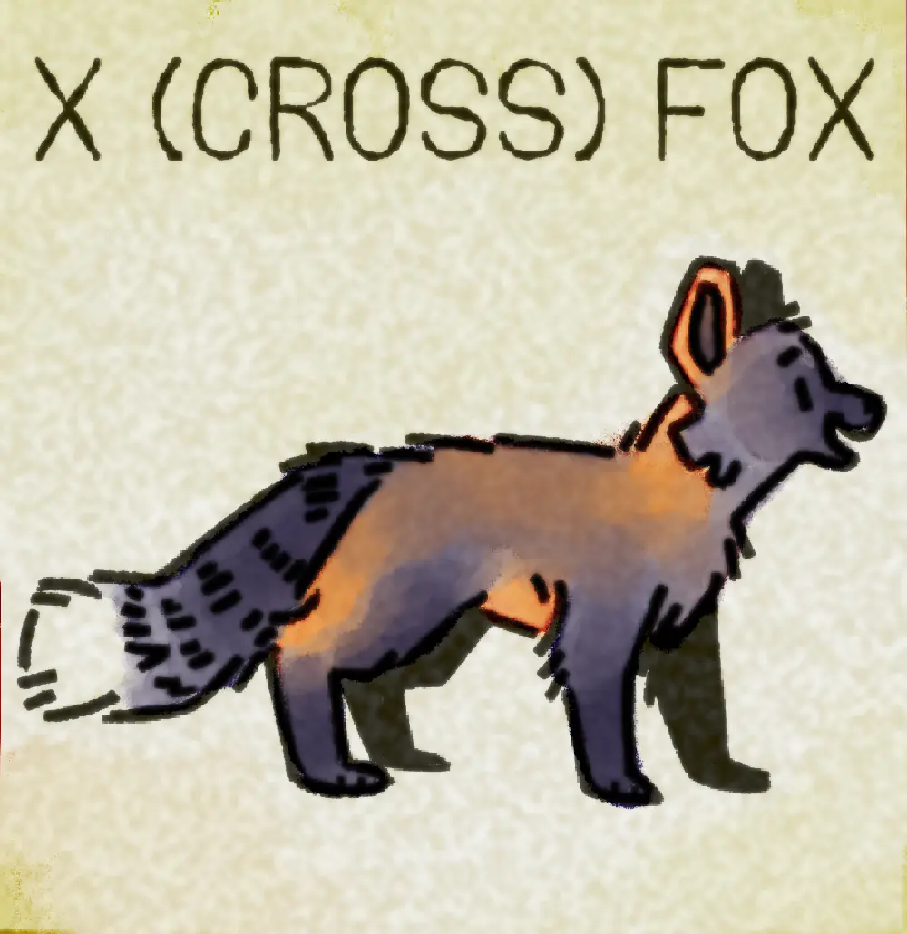Page 24: a red and black cross fox. The word for X is Cross Fox, with Cross being abbreviated as X.