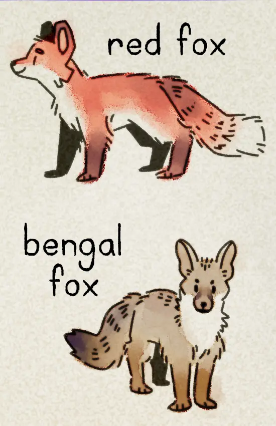 The zine's second page, featuring a russet-colored red fox and a warm gray and brown Bengal fox.