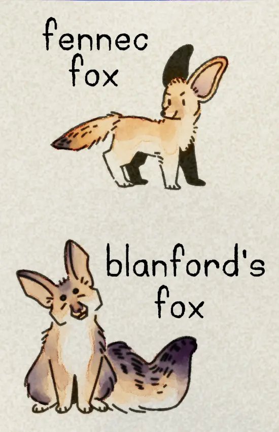 The zine's third page, featuring a tiny fennec fox and a bushy-tailed Blanford's fox.