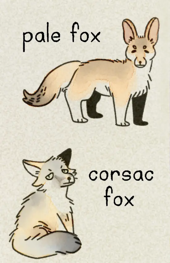 The zine's seventh page, featuring a sandy-colored pale fox, and a silvery corsac fox.