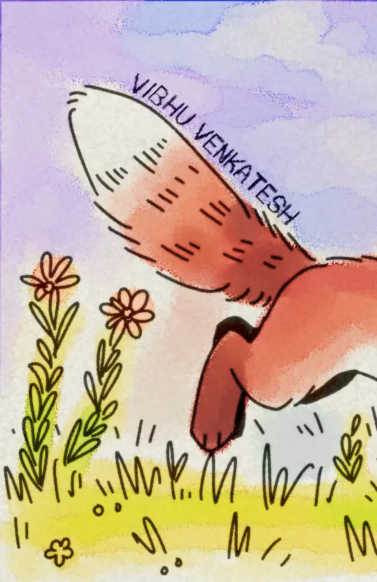 The zine's eighth page and back cover, with the continuation of the red fox and grass on the front cover. Text is the author's name, Vibhu Venkatesh.
