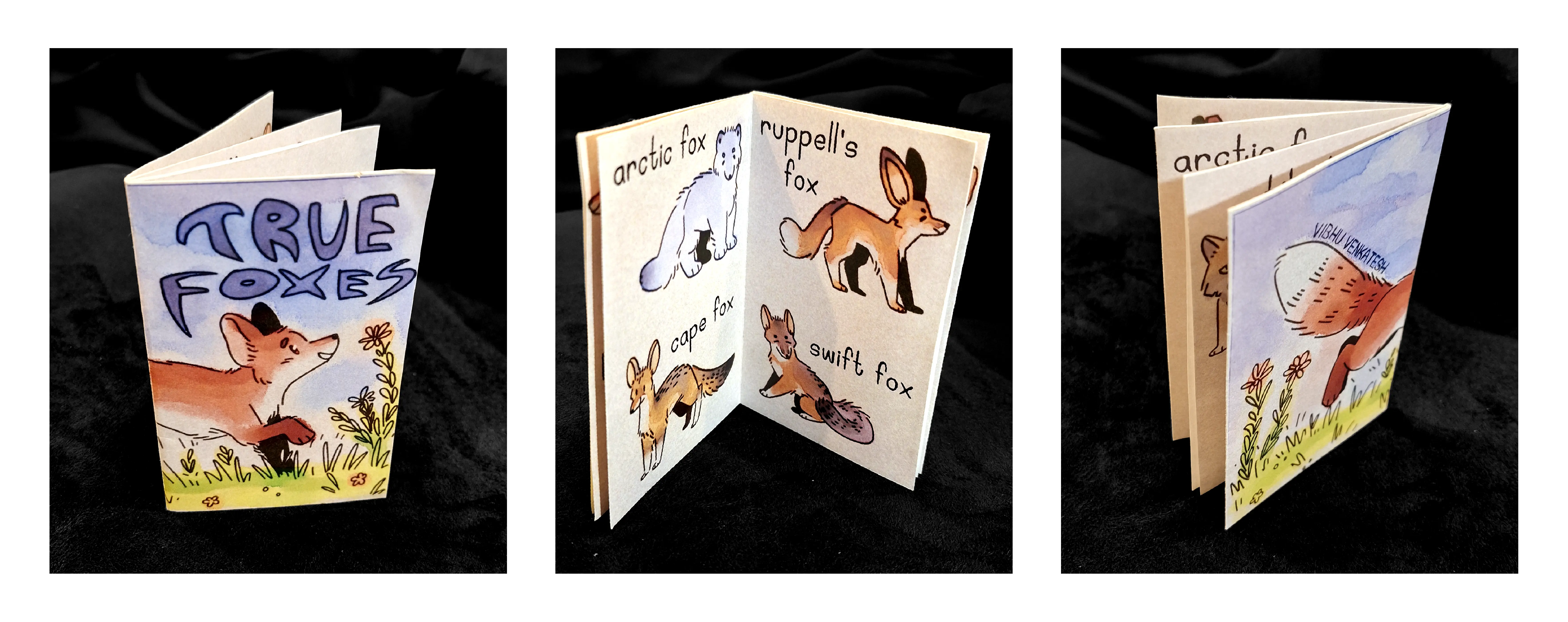 The physical copy of True Foxes.