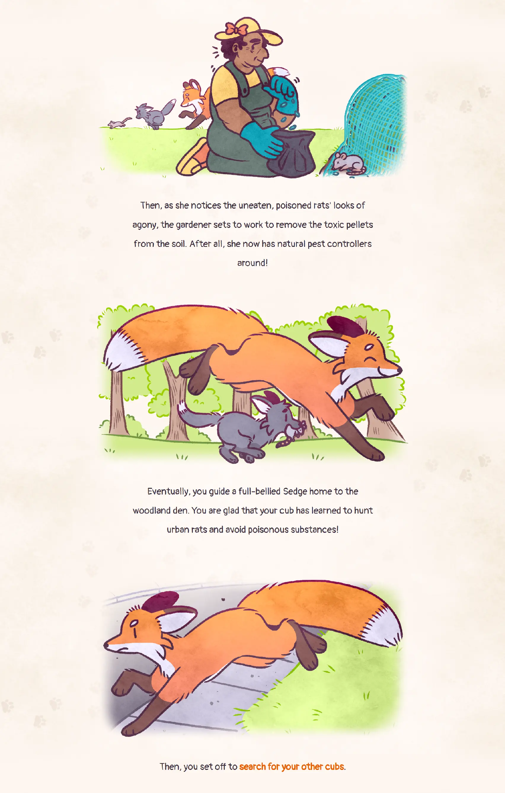 A still of the game featuring the main character fox successfully finding and rescuing one of the cubs before setting out to find the rest of them. Before returning to the den, they hunt some rats in a vegetable garden, while the owner of the garden removes rat poison from the yard.