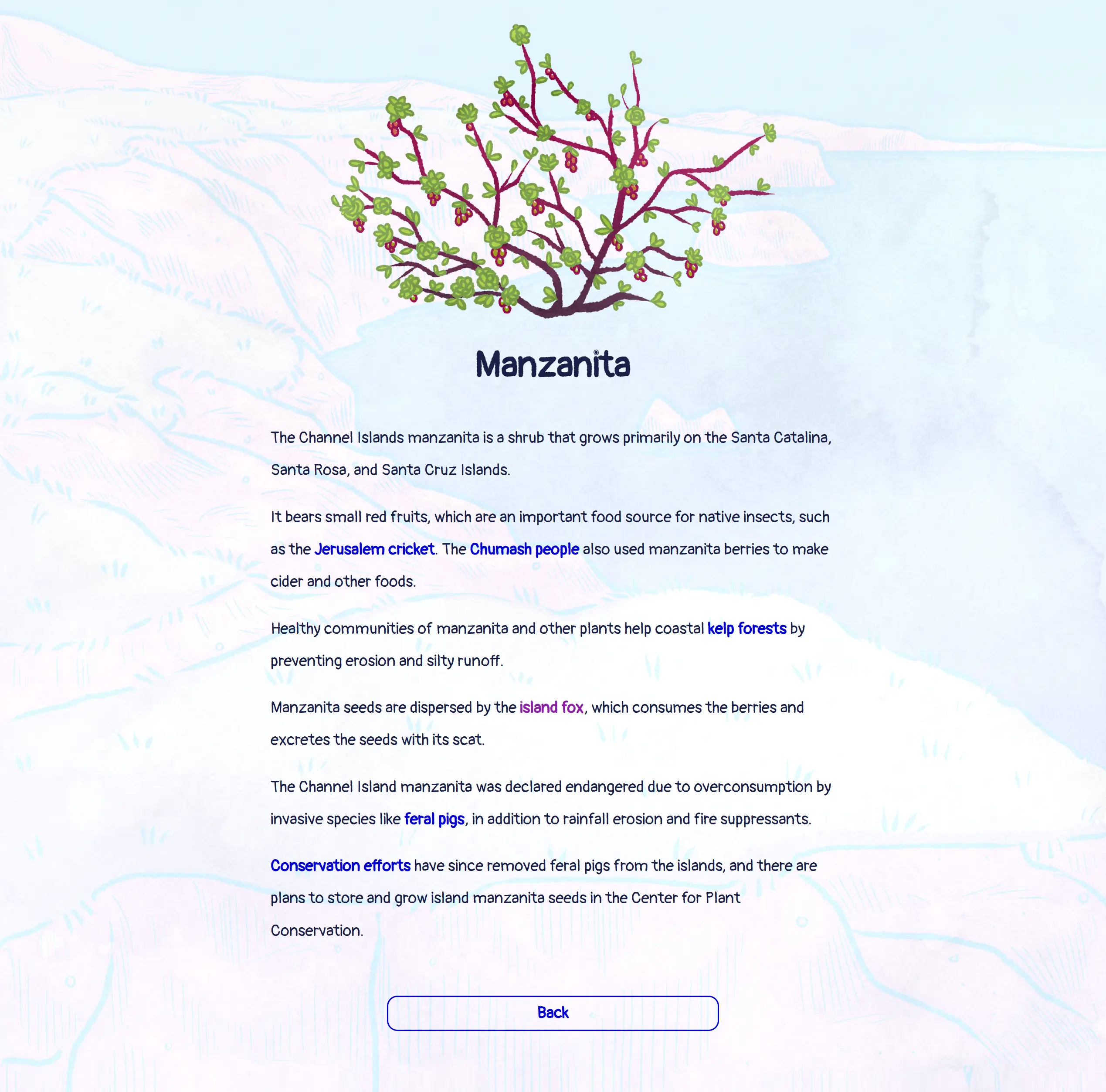 A still of the game featuring the island manzanita's info page, going through the roles they play as a food source and a soil erosion preventor, as well as how they were affected by invasive pig populations overgrazing.