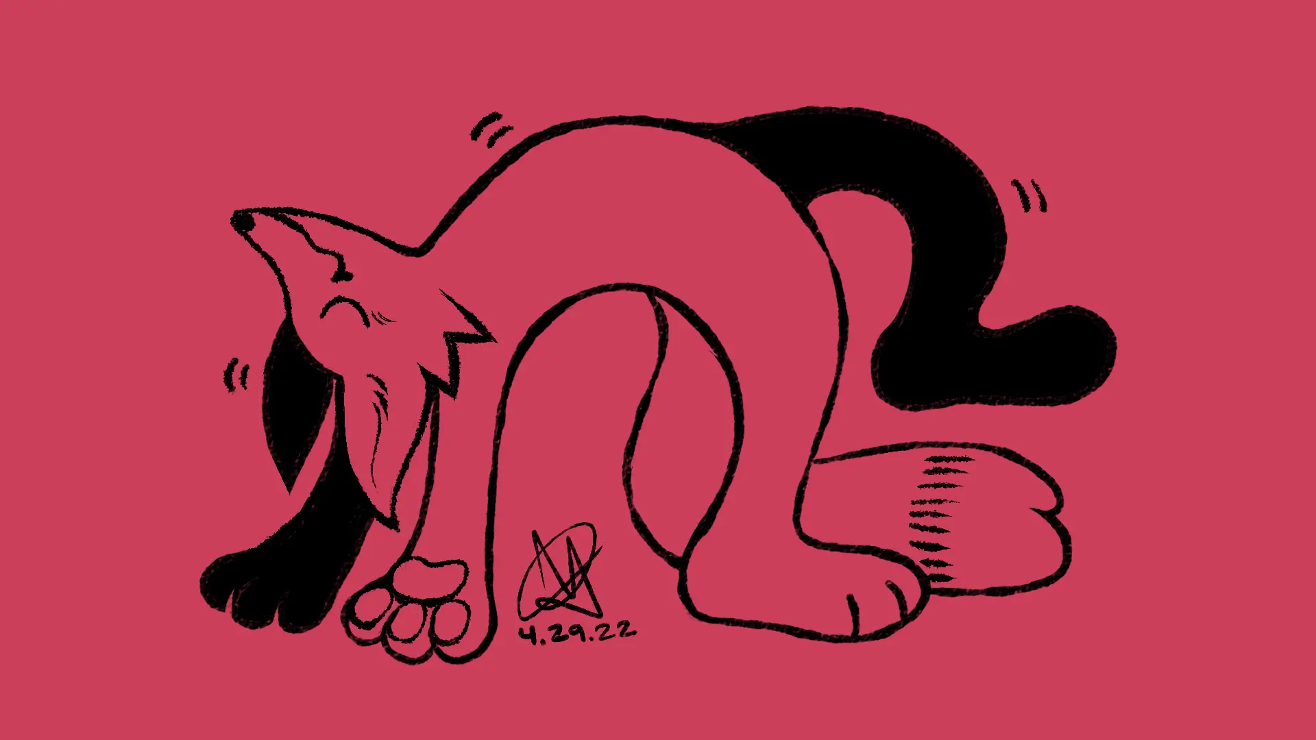 Fox Day 59: A fox bending backwards.