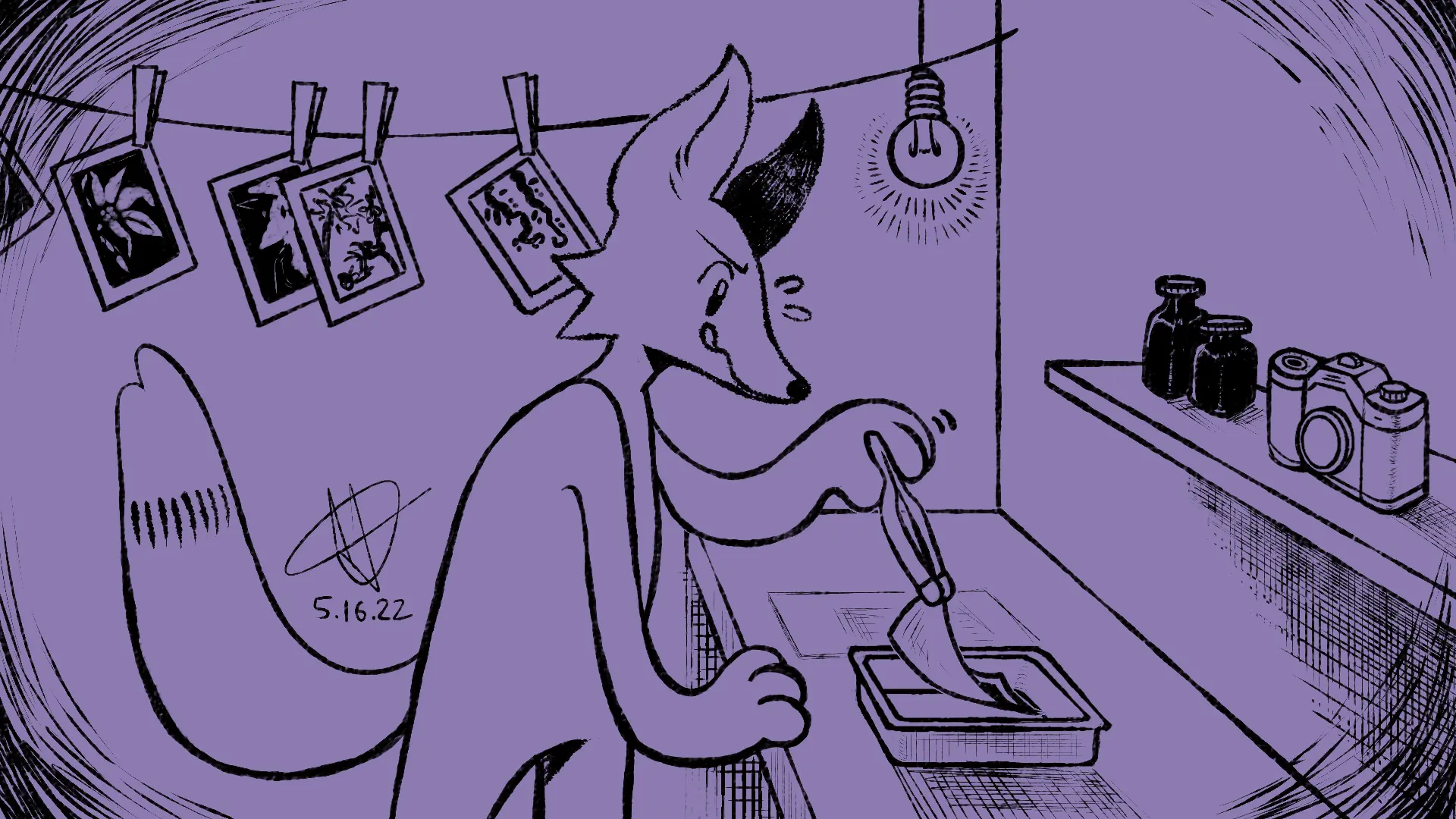Fox Day 76: A fox developing camera film in a photography darkroom. with the finished photographs drying on a line held by clothespins.