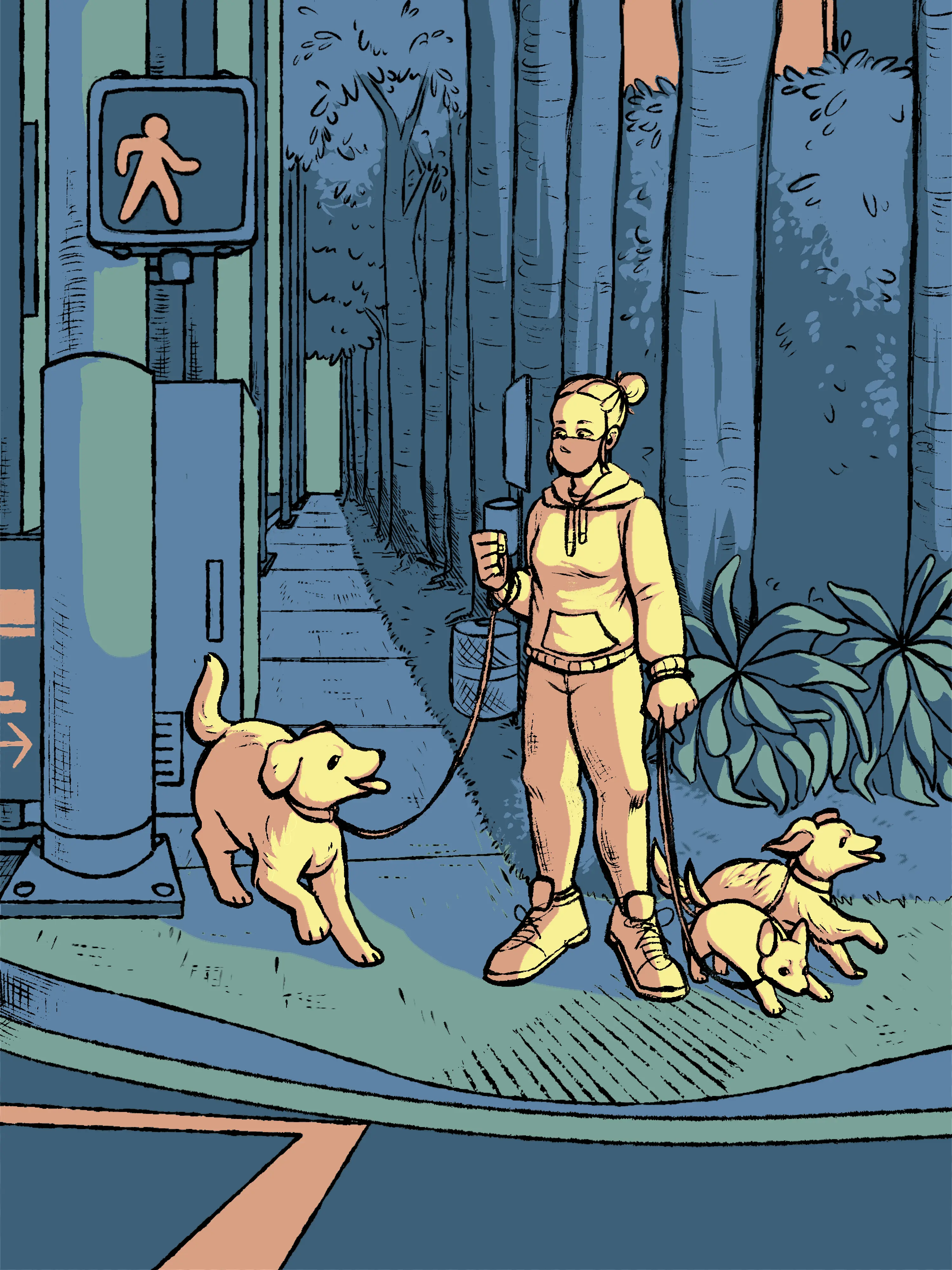 A woman walking three dogs, waiting at the crosswalk outside an apartment complex with trees, succulents, and hedges.