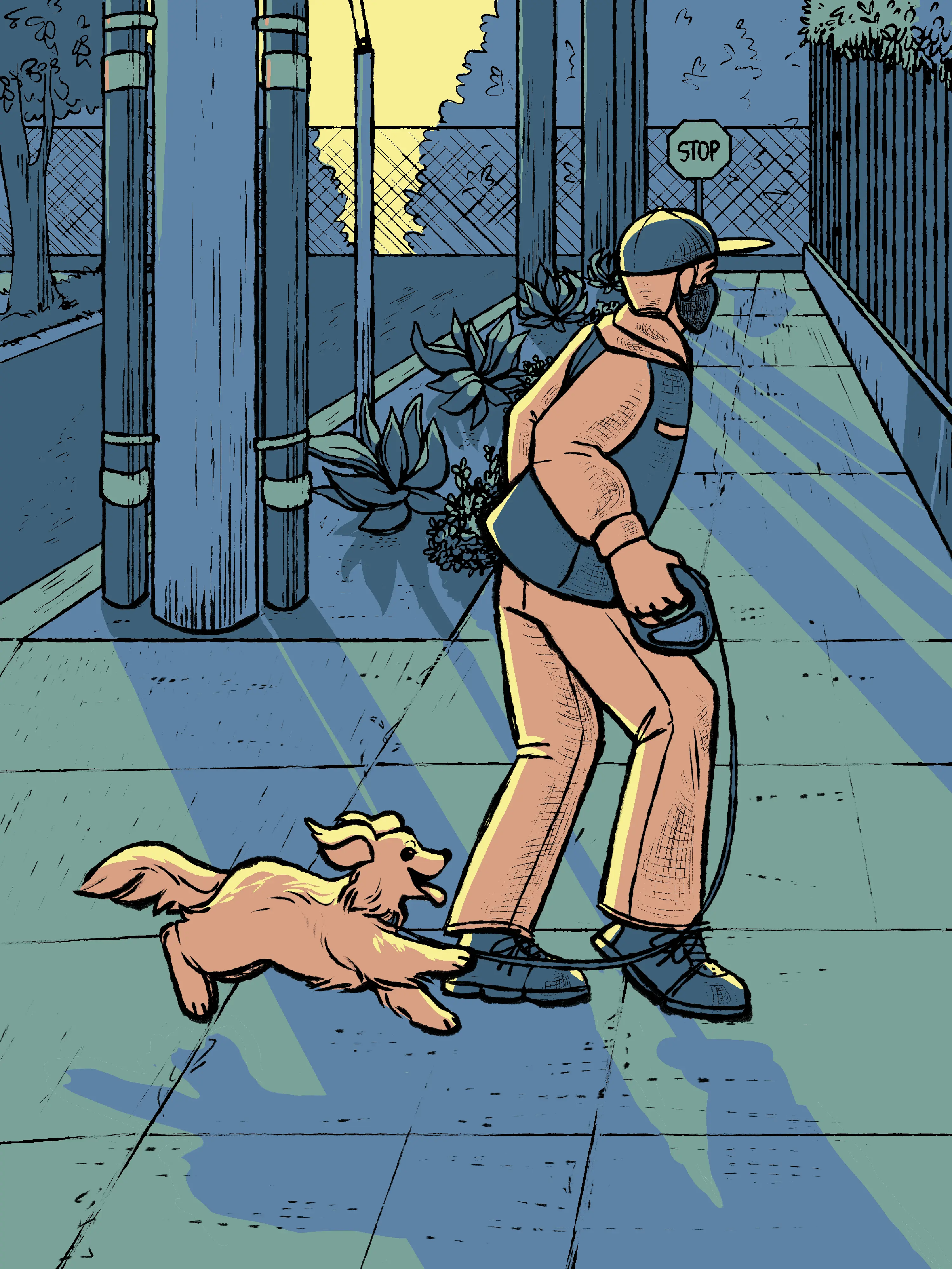 A man walking a small dog on a retractable leash, walking along a sidewalk with succulents, utility poles, and a parking lot.