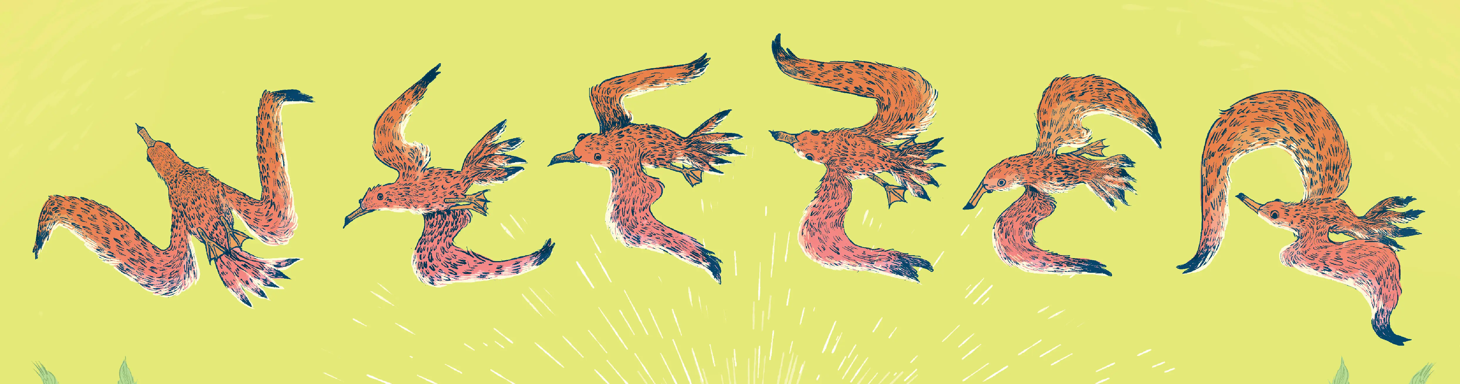 Detail shot of the seagulls spelling out Weezer.